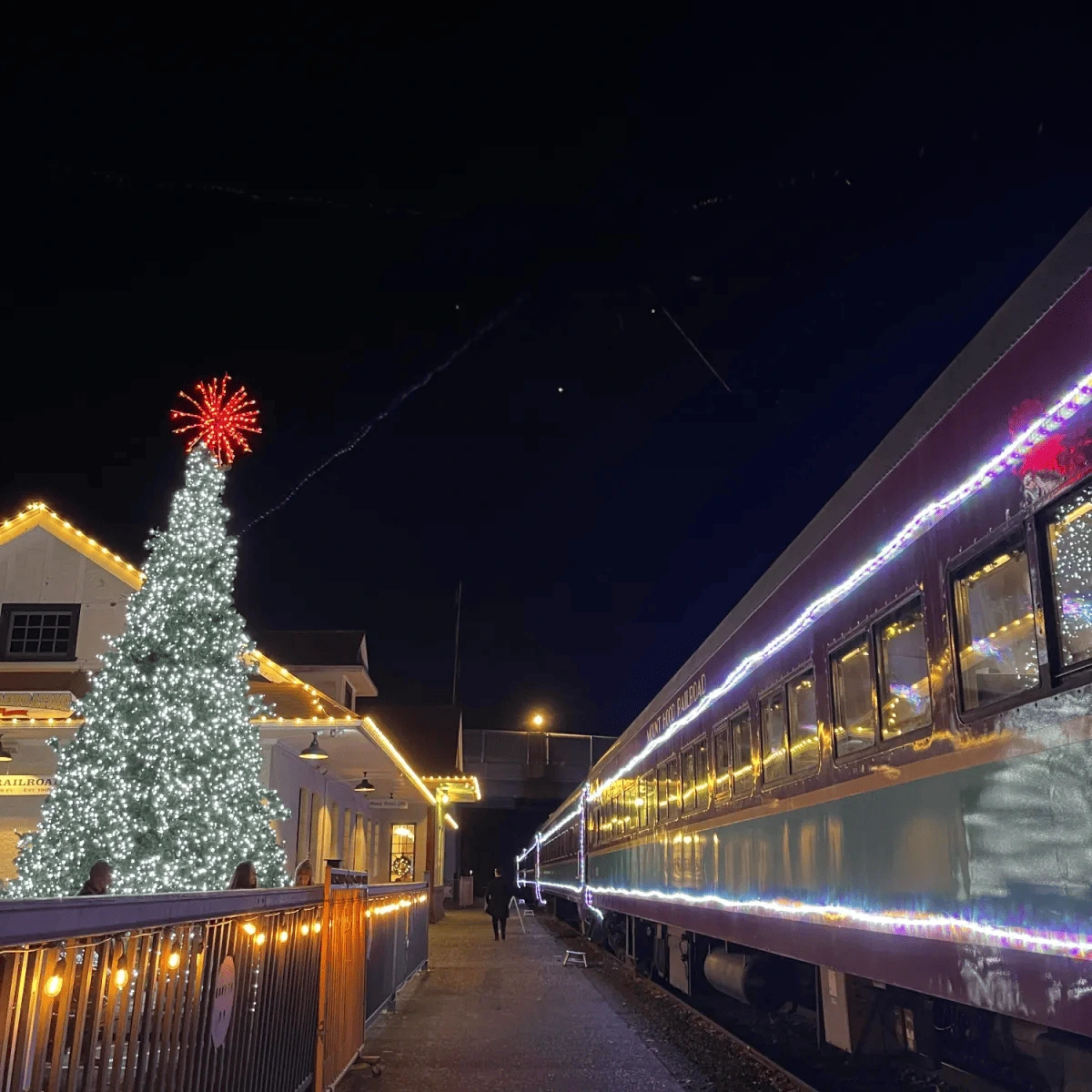 Festive train station with Christmas tree and train adorned with lights at night.