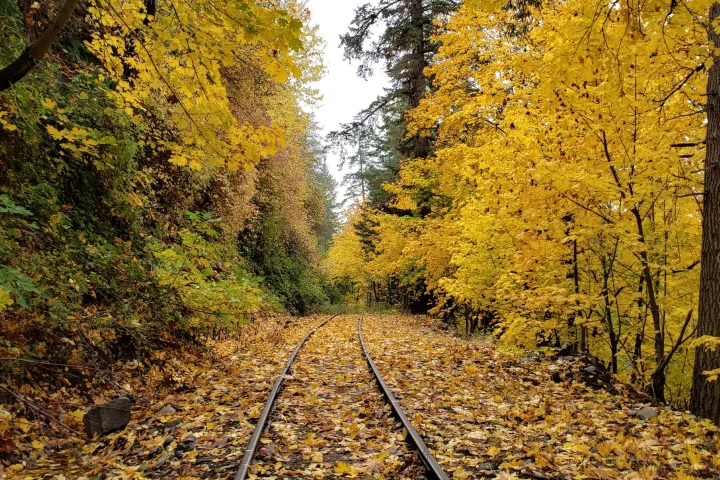 Mount Hood Railroad Fall Train
