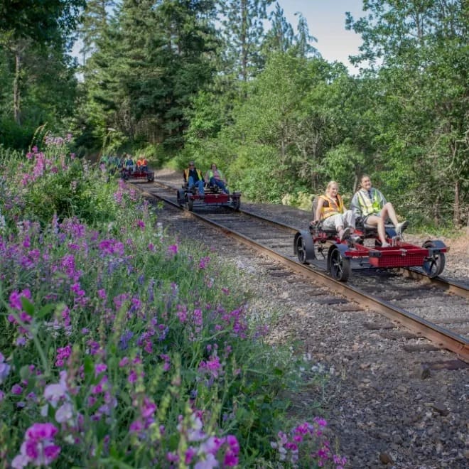 People riding rail bikes on a track surrounded by lush trees and wildflowers.