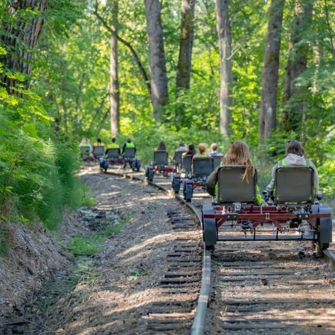 People riding rail bikes on a forested track under tall green trees.