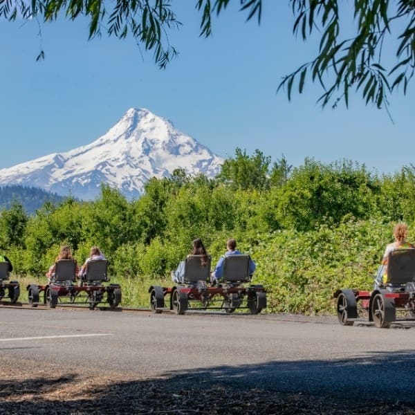 People riding pedal carts near lush greenery with a snow-capped mountain in the background.