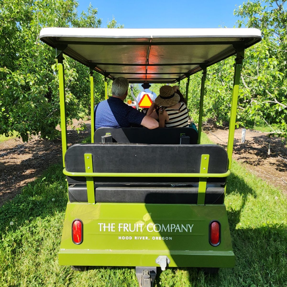 a close up of a toy car in a park
