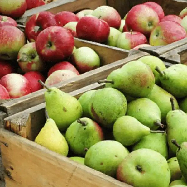 Wooden crates filled with red apples and green pears at a market.