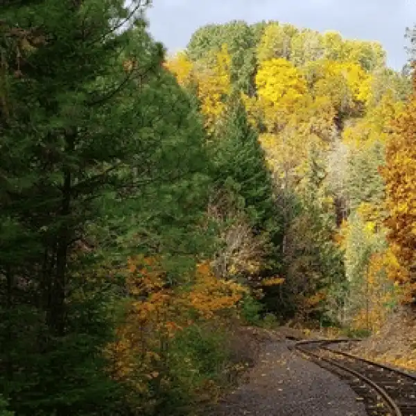 Railroad track winding through a forest with vibrant autumn foliage.