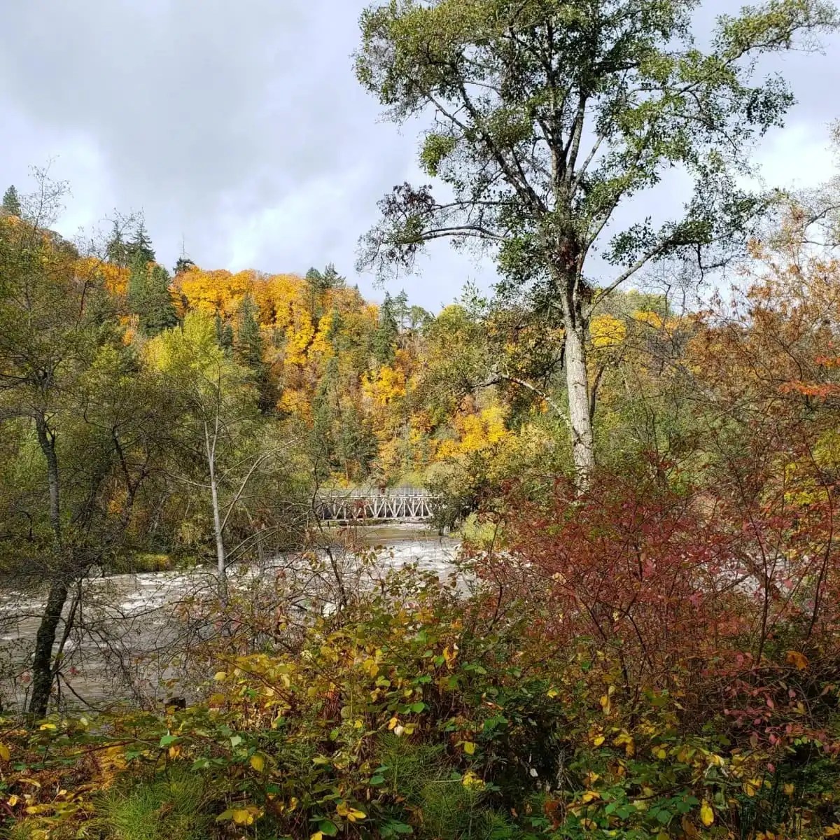 Autumn landscape with colorful trees, a river, and a metal bridge.