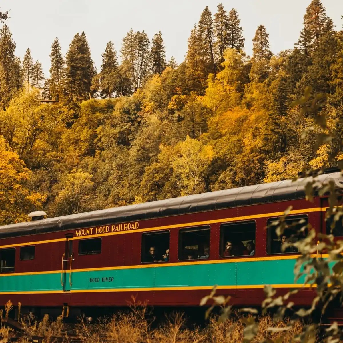 Train with red and green carriages passing through autumn forest scenery.