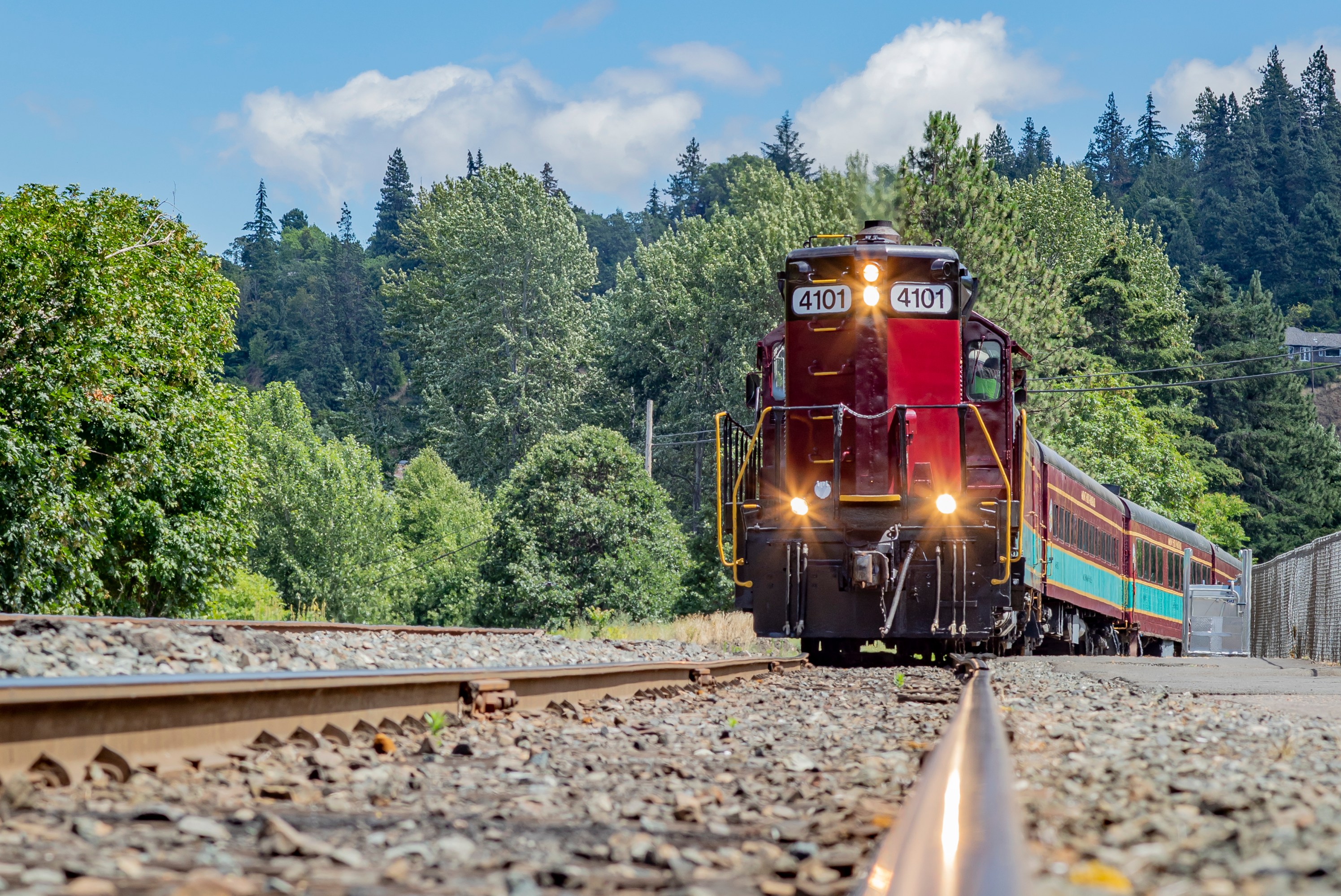 Red locomotive train travels through forested area on a sunny day.